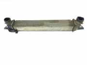 Ladeluftkühler 51790623 Peugeot Bipper Tepee (AJ) Großraumlimousine 1.4 HDi (DV4TD(8HS))