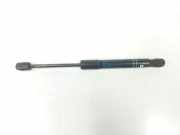 Gasdruckfeder Set Vorne 51237239233 BMW 3 serie Touring (F31) Kombi 320d 2.0 16V (B47-D20A) 2016