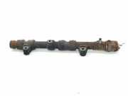 Einspritzdüsen Düsenstock AL3Q9D280HC Land + Range Rover Range Rover IV (LG) Geländewagen 4.4 SDV8 32V (448DT(DITC))