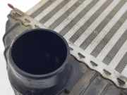 Ladeluftkühler 144963234R Renault II FKW0 Profesional