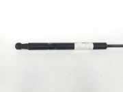 Gasdruckfeder Vorne 50519970 Alfa Romeo Giulietta (940) Schr?gheck 2.0 JTDm 16V 140 (940.A.5000) 2011