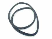 Türgummis 9880689 BMW M135 (F40) Schrägheck M135i xDrive 2.0 TwinPower 16V (B48-A20E) 2019