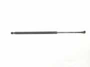 Gasdruckfedern Set Hinten 51248402405 BMW X5 (E53) SUV 3.0d 24V (M57N-D30(306D2)) 2004