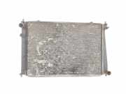 Radiator 253104A110 Hyundai H-1/H-200 Van 2.5 Tdi (D4BH) 2004