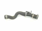 Intercooler Schlauch 1877723 Ford Focus 3 Schrägheck 1.0 Ti-VCT EcoBoost 12V 125 (M1DA(Euro 5)) 2014