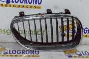 Grill Gitter Rechts 51137065702 BMW 5 serie (E60) Limousine 530d 24V (M57N-D30(306D2)) 2003