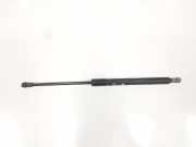 Gasdruckfeder Vorne 51237129190 BMW 3 serie Touring (E91) Kombi 320d 16V (N47-D20C) 2009