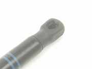 Gasdruckfeder Set Vorne 51237397493 BMW 2.0 16V Turbodiesel (190 CV) 2018