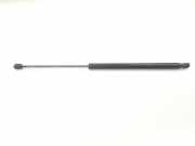 Gasdruckfedern Set Hinten 1434296 Ford S-Max Großraumlimousine 2.0 TDCi 16V 140 (QXWB) 2006