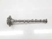 Nockenwelle 11318664036 BMW 3 serie (G20) Limousine 330i 2.0 TwinPower Turbo 16V (B46-B20B) 2018