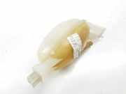 Ausgleichbehälter 217100015R Renault Master III (FV) Van 2.3 dCi 125 16V FWD (M9T-704(M9T-C7)) 2016