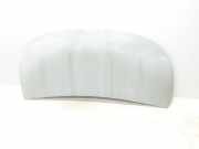 Motorhaube 651224338R Renault L1H1 29t Komfort