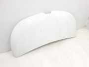 Motorhaube 651224338R Renault L1H1 29t Komfort