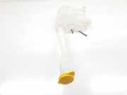 Scheibenwaschbehälter Vorne 289100030R Renault Master III (EV/HV/UV/VA/VB/VD/VF/VG/VJ) Chassis-Cabine 2.3 dCi 165 16V RWD (M9T-710) 2020