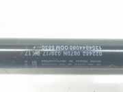 Gasdruckfedern Set Hinten 1354844080 Fiat Qubo Großraumlimousine 1.4 (350.A.1000) 2017