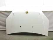 Motorhaube 51841326 Fiat Doblo Cargo (223) Van 1.3 D 16V Multijet (199.A.2000) 2006
