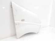 Kotflügel Rechts Vorne 7782524467 Renault Trafic New (FL) Van 2.0 dCi 16V 115 (M9R-782) 2010