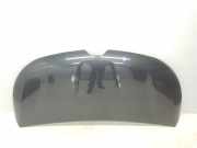 Motorhaube 651224338R Renault L1H1 29t Komfort