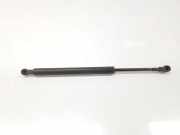 Gasdruckfedern Set Hinten 51248254281 BMW 3 serie (E46/2) Coupé 328 Ci 24V (M52-B28TU(286S2)) 1999