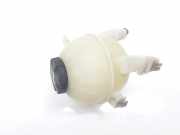 Ausgleichbehälter 17135A6A031 BMW X5 (G05) SUV xDrive 30d 3.0 24V (B57-D30A)