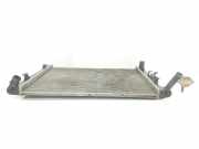 Radiator 253102R000 Kia 1.6 (122 CV) 2009