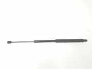 Gasdruckfeder Set Vorne A2059800064 Mercedes-Benz C (W205) Limousine C-220 2.2 CDI BlueTEC, C-220 d 16V (OM651.921) 2014