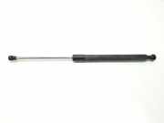 Gasdruckfedern Set Hinten 8200299546 Renault Clio III (BR/CR) Schrägheck 1.5 dCi 105 FAP (K9K-772) 2008