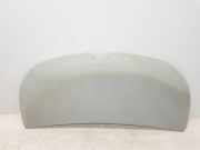 Motorhaube 651224338R Renault L1H1 29t Komfort