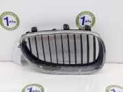 Grill Gitter Rechts 51137065702 BMW 5 serie (E60) Limousine 530d 24V (M57N-D30(306D2)) 2007