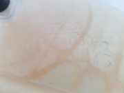 Ausgleichbehälter 2066919 Ford EcoSport (JK8) SUV 1.0 EcoBoost 12V 125 (M1JU) 2019