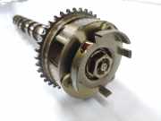 Nockenwelle 55562232 Opel Corsa F (UB/UH/UP) Schrägheck 5-drs Electric, Corsa-e 50kWh (ZKX(ZK01)) 2015