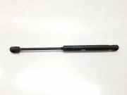 Gasdruckfedern Set Hinten 8731K4 Peugeot 407 (6D) Limousine 2.0 HDiF 16V (DW10BTED4(RHR)) 2005