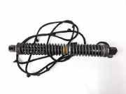 Gasdruckfeder Hinten 51247185713 BMW 7 serie (F01/02/03/04) Limousine 740d 24V (N57-D30B) 2009