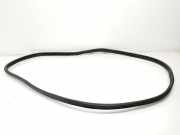 Türgummis 83140G4000 Hyundai i30 (PDEB5/PDEBB/PDEBD/PDEBE) Schrägheck 2.0 N Turbo 16V Performance (G4KH) 2023