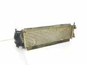 Ladeluftkühler 144614JA0B Nissan NP 300 Navara (D23) Pick-up 2.3 dCi twinturbo 16V 4x4 (YS23DDT) 2015