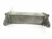 Ladeluftk?hler 4999282 Ford Transit Connect Van 1.8 TDCi 90 (R3PA) 2010