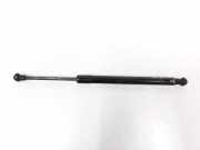 Gasdruckfeder Hinten 51247250308 BMW 3 serie (E90) Limousine 320d 16V (N47-D20C) 2007