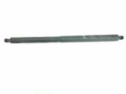 Gasdruckfeder Hinten 51247481803 BMW X1 (F48) SUV sDrive 18d 2.0 16V (B47-C20A(Euro 6)) 2017
