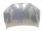 Motorhaube 664002B030 Hyundai Santa Fe II (CM) SUV 2.2 CRDi 16V 4x4 (D4EB)
