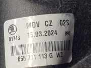 Schalthebelknopf 655711113GWZI Skoda Scala Schrägheck 5-drs 1.0 TSI 115 (DUSA)