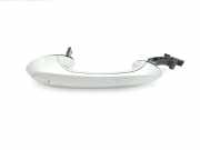 T?rgriff Au?en Rechts Vorne 51219491464 BMW X3 (G01) SUV sDrive 18d 2.0 TwinPower Turbo 16V (B47-D20B) 2020