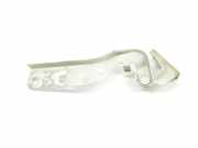 Motorhaubescharnier 1342114080 Fiat Ducato (250) Van 2.0 D 115 Multijet (250.A.1000(Euro 5)) 2013