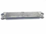 Ladeluftkühler A6395010201 Mercedes-Benz Vito (639.6) Van 2.2 109 CDI 16V (OM646.983) 2004