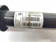 Sto?d?mpfer Links Hinten 33526862712 Mini F54 Cooper D