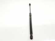 Gasdruckfedern Set Hinten 904510001R Renault III BERLINA 5 P 1.6 16V (101 CV) 2011