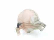 Ausgleichbehälter 2E0121407 Volkswagen Crafter Van 2.0 BiTDI (CKUB) 2013 CKUB