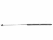 Gasdruckfeder Set Vorne 81A823359C Audi 2.0 16V TDI (150 CV) 2022