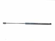 Gasdruckfedern Set Hinten 9801061480 DS DS 4/DS 4 Crossback (NX) Schrägheck 1.6 BlueHDI 120 (DV6FC(BHZ)) 2017 DV6FC(BHZ)