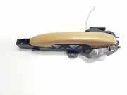 Türgriff Außen Links Hinten 806069128R Dacia Sandero III Schrägheck 1.0 TCE 110 12V (H5D-C4)