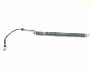 Gasdruckfedern Set Hinten 51247434042 BMW X5 (F15) SUV xDrive 40d 3.0 24V (N57-D30B) 2017